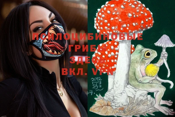 марки lsd Надым