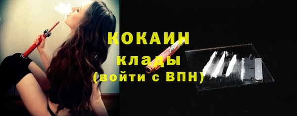 дмт Горняк