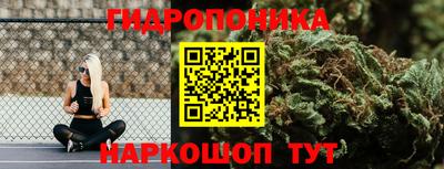 каннабис Берёзовский