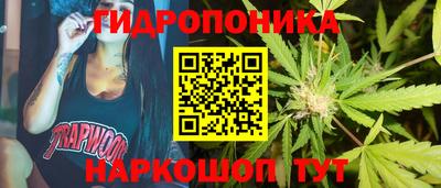 каннабис Берёзовский
