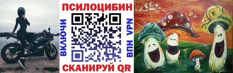 Псилоцибиновые грибы Psilocybine cubensis  дарк нет телеграм  Дзержинск 