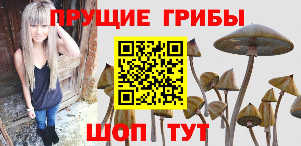 Псилоцибиновые грибы мицелий Дзержинск
