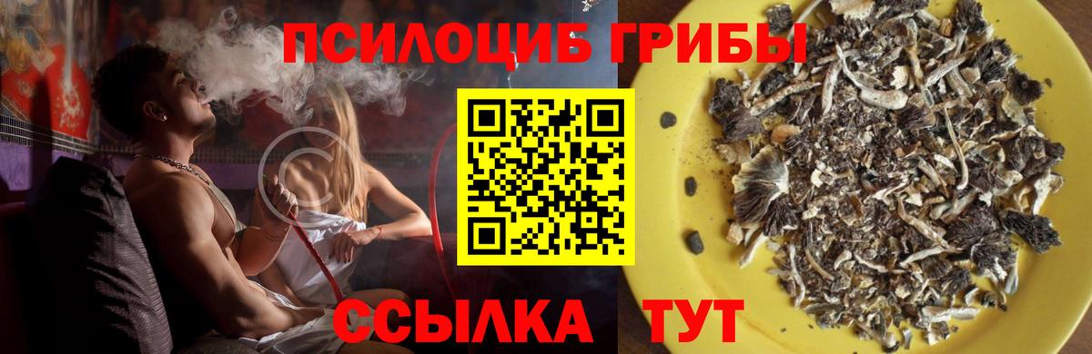 Галлюциногенные грибы ЛСД  где продают   Дзержинск 