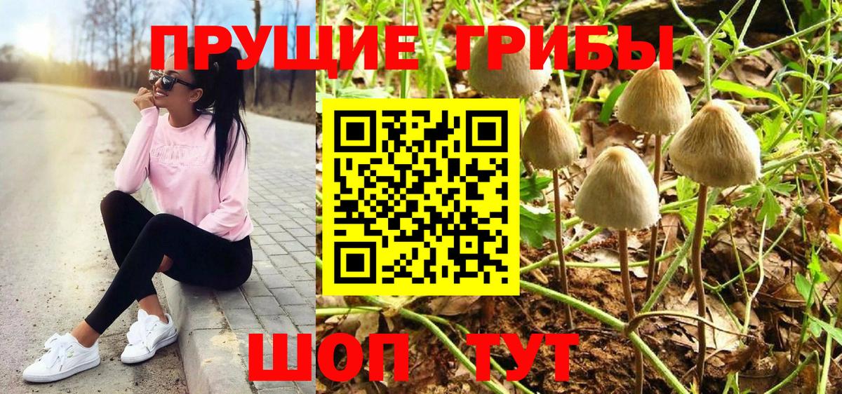 Псилоцибиновые грибы Psilocybine cubensis Дзержинск